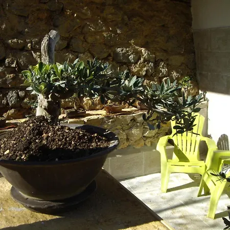 Bonsais Con Jacuzzi * Torres (Jaen)